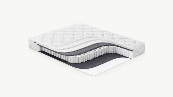 MOON FAMILY TRADITION 673