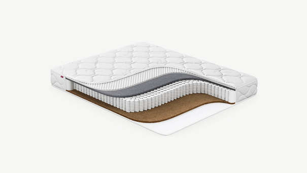 MOON FAMILY COMPLEX 671