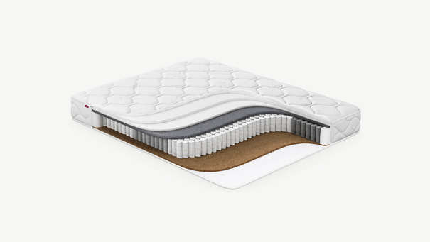 MOON FAMILY TRADITION 674