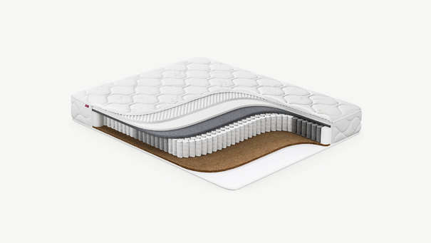 MOON FAMILY COMPLEX 672