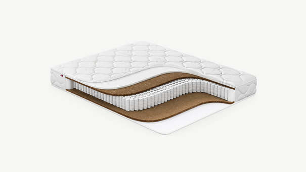 MOON FAMILY STRONG  677