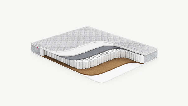 MOON FAMILY CLASSIC 669